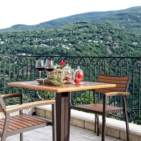 Theta Pelion 酒店