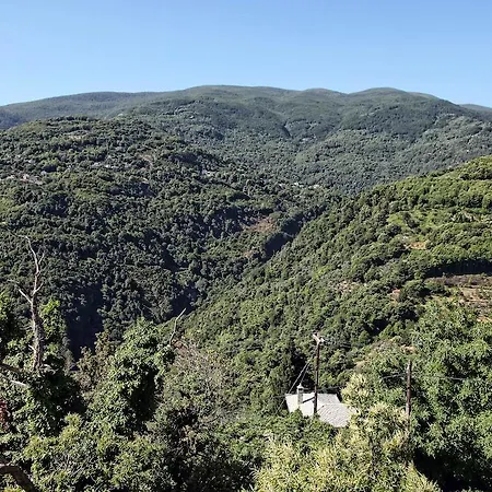 Theta Pelion מלון