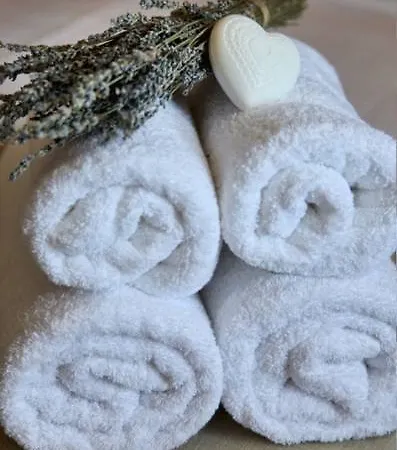 酒店 Theta Pelion Áyios Dhimítrios