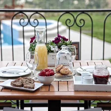 Hotel Theta Pelion