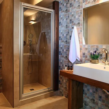 Theta Pelion מלון 4*